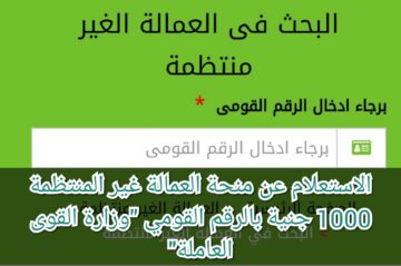 الاستعلام عن منحة العمالة غير المنتظمة 1000 جنية بالرقم القومي “وزارة القوى العاملة”