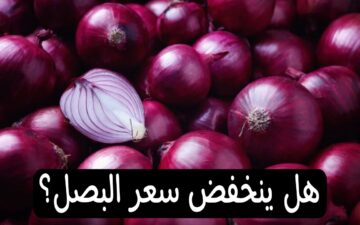 بعد الأزمة وكثرة الشائعات… الأيام القادمة هل ينخفض سعر البصل؟ رئيس المجلس التصديري يحسم الجدل