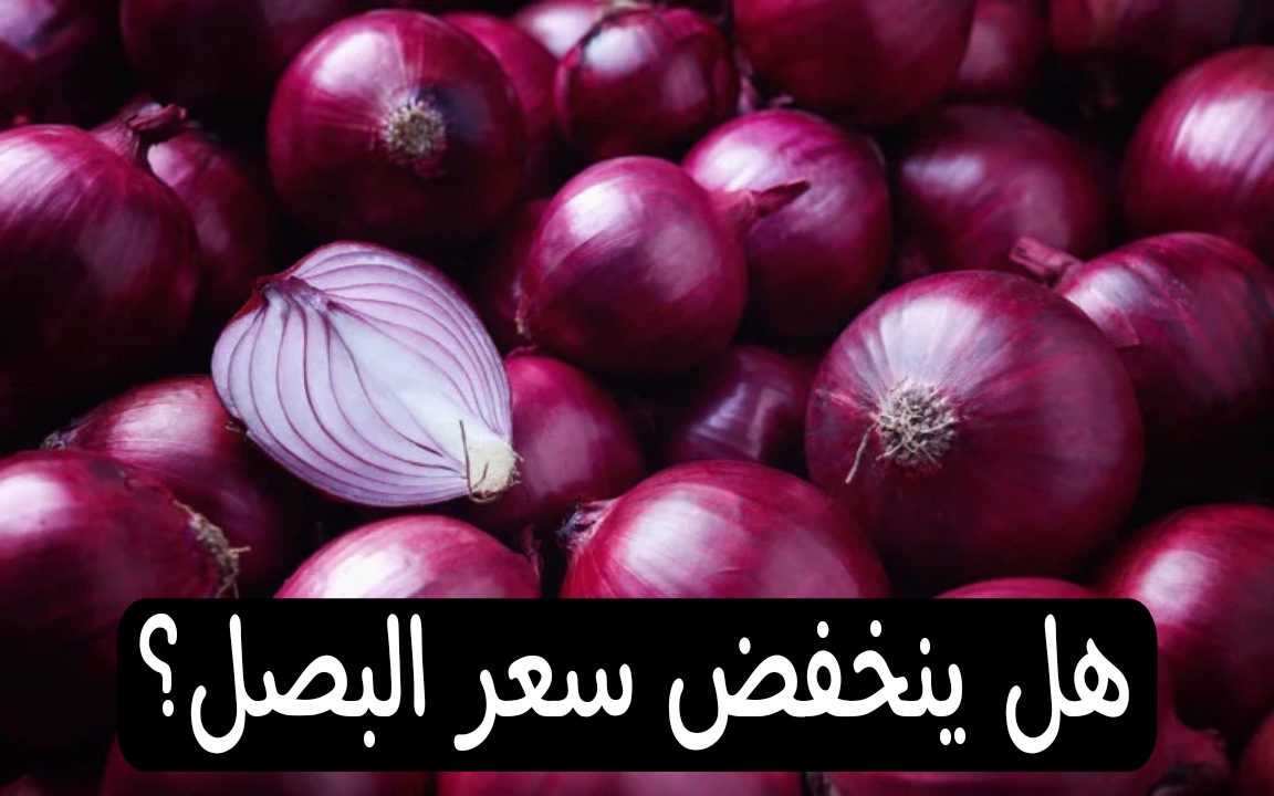بعد الأزمة وكثرة الشائعات... الأيام القادمة هل ينخفض سعر البصل؟ رئيس المجلس التصديري يحسم الجدل 5 بعد الأزمة وكثرة الشائعات… الأيام القادمة هل ينخفض سعر البصل؟ رئيس المجلس التصديري يحسم الجدل