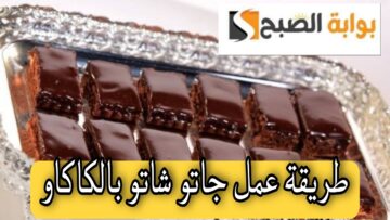 15 دقيقة بس وجهزي جاتو شاتو بالكاكاو غرقان بصوص الشيكولاته واستمتعي بطعم خطير.. مش هتشتري الجاتوه من بره تاني