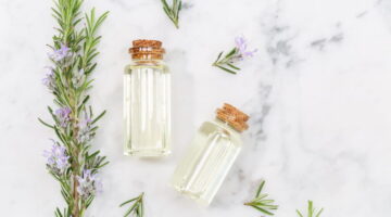 Rosemary 1024x577 1