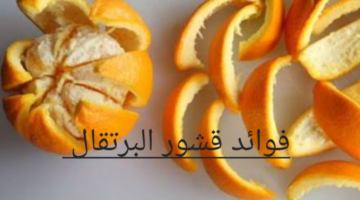Screenshot ٢٠٢٣١٢٢٦ ٠٢٠٦٤٥ Google
