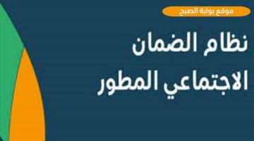 WhatsApp Image 2023 12 31 at 6.35.08 PM