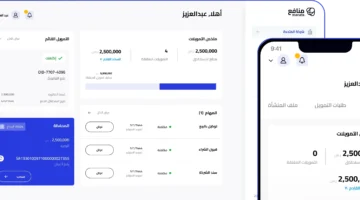 financing amount