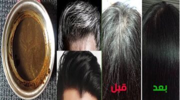 images 2023 12 03T163429.577