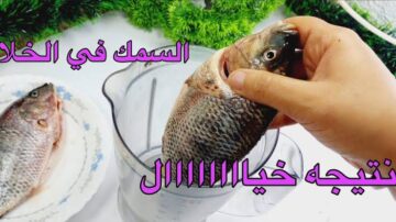 السمك في الخلاط فكرة جيدة لم تخطر على البال حضريه بأشهى الطرق.. اعرفي الطريقة دلوقتي