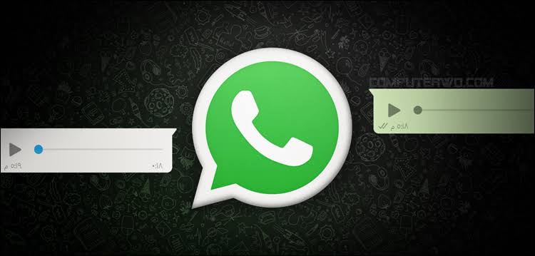 ميزة جديدة على "واتساب" تتيح إرسال رسائل صوتية تُسمع لمرة واحدة ثم تختفي! 5 ميزة جديدة على “واتساب” تتيح إرسال رسائل صوتية تُسمع لمرة واحدة ثم تختفي!