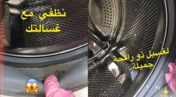 images بببرب1