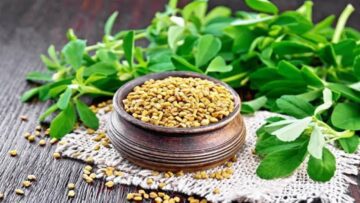 مفعولها اعجازي.. استخدمي الحلبة بالطريقة دي ومش هتلاحقي على طول شعرك