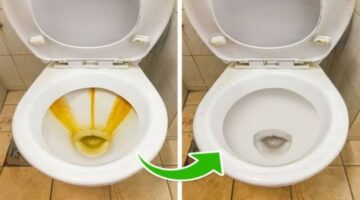 imagesسنزسسز 1