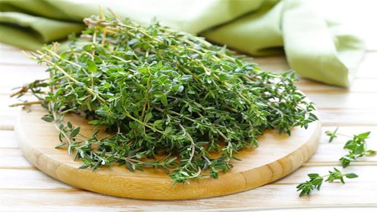 يا حظ اللي عنده منها.. عشبة ذات مفعول خارق ستجعلك لن تستطيع العيش بدونها 5 يا حظ اللي عنده منها.. عشبة ذات مفعول خارق ستجعلك لن تستطيع العيش بدونها