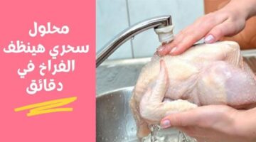 imagصزوصةصes 1