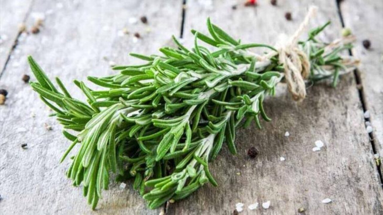 ازاي لسه متعرفوش الكنز ده.. معجزة في هذه العشبة المتوفرة ستخلصك من مشاكلك خلال 3 ليالي 5 ازاي لسه متعرفوش الكنز ده.. معجزة في هذه العشبة المتوفرة ستخلصك من مشاكلك خلال 3 ليالي