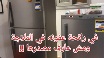 وداعاً للروائح الكريهة.. طريقة تنظيف الثلاجة من الروائح الكريهة وتعقيمها بمكون ميخطرش على بالك هتبقى زي الفل