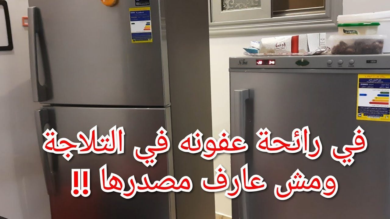 وداعاً للروائح الكريهة.. طريقة تنظيف الثلاجة من الروائح الكريهة وتعقيمها بمكون ميخطرش على بالك هتبقى زي الفل 5 وداعاً للروائح الكريهة.. طريقة تنظيف الثلاجة من الروائح الكريهة وتعقيمها بمكون ميخطرش على بالك هتبقى زي الفل
