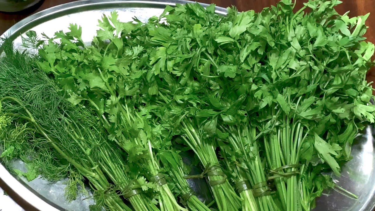 بأسرار التجار.. ملعقة سحرية لتخزين الشبت والبقدونس لمدة سنة كاملة بدون تغيير في لونها وطعمها هتفضل فريش 5 بأسرار التجار.. ملعقة سحرية لتخزين الشبت والبقدونس لمدة سنة كاملة بدون تغيير في لونها وطعمها هتفضل فريش