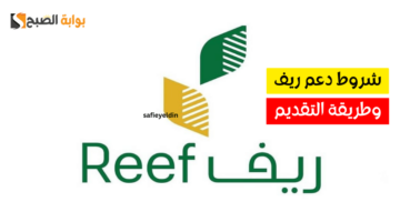 reef