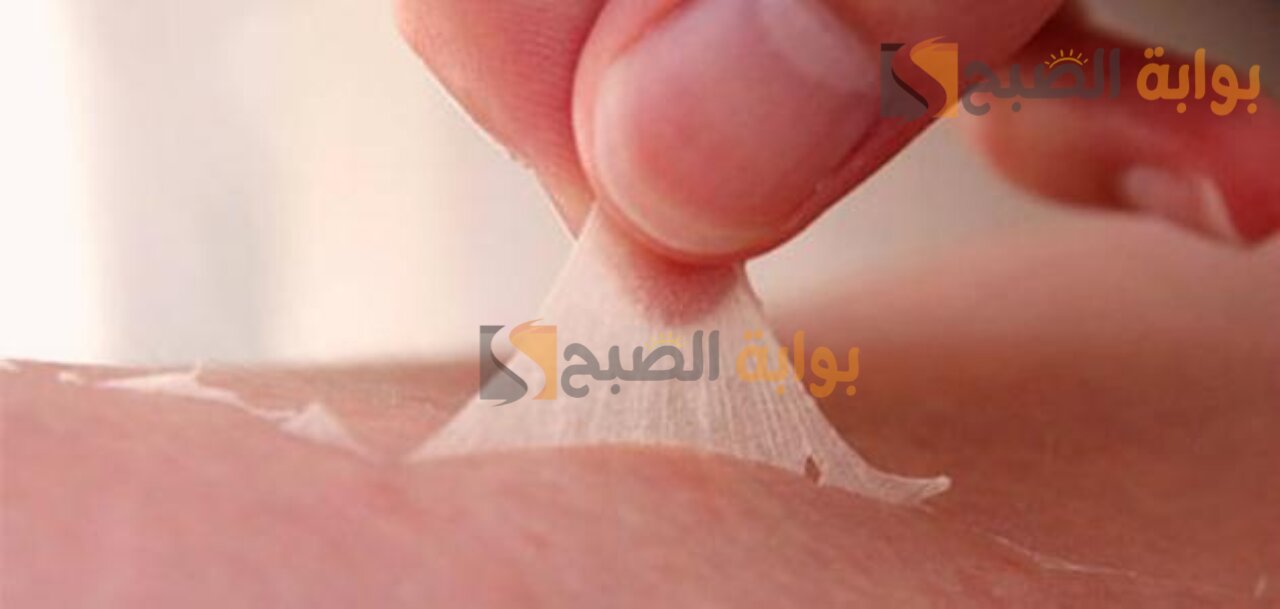 أتخلصي من الجلد الميت بسرعة.. بمكونات بسطية فى منزلك هتندمى لو معرفتهاش 5 أتخلصي من الجلد الميت بسرعة.. بمكونات بسطية فى منزلك هتندمى لو معرفتهاش
