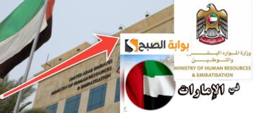 أسباب رفض تصريح العمل في الإمارات وشروط القبول بعد التحديث 2024