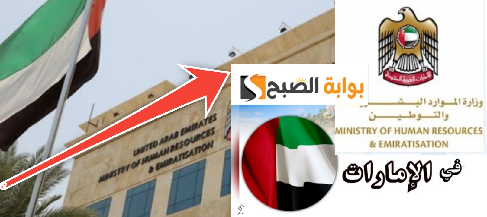 أسباب رفض تصريح العمل في الإمارات وشروط القبول بعد التحديث 2024 5 أسباب رفض تصريح العمل في الإمارات وشروط القبول بعد التحديث 2024