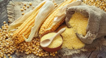 أسعار الأعلاف اليوم
