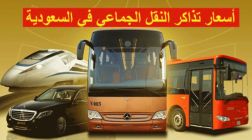 أسعار رحلات النقل الجماعي عبر سابتكو