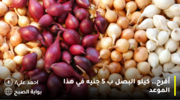 أفرح. كيلو البصل ب 5 جنيه في هذا الموعد