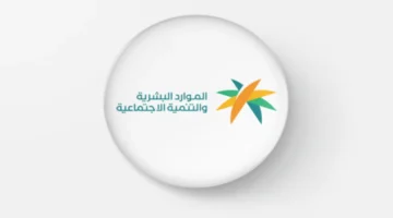 أهلية الضمان المطور