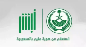 إلكترونيا. الاستعلام عن صلاحية الإقامة عبر منصة أبشر