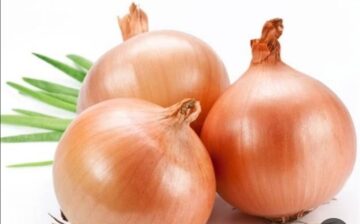 البصل اتجنن على الآخر .. ارتفاع كارثي في أسعار البصل اليوم السبت 9/12/2023 ووصوله لأرقام تاريخية