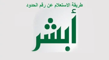 استعلام رقم الحدود من خلال كود الجواز للمقيم بالسعودية