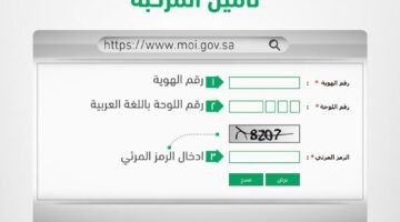استعلام عن تأمين سيارة