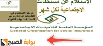 الاستعلام عن مستحقات التأمينات برقم الهوية في 5 خطوات أون لاين