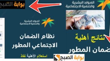 الاستعلام عن الضمان الاجتماعي الجديد المطور