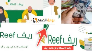الاستعلام عن دعم ريف