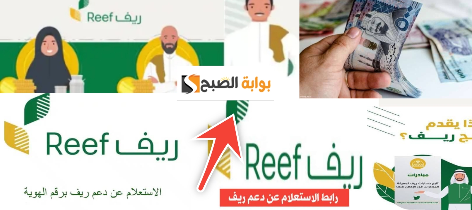 الاستعلام عن دعم ريف برقم الهوية في 5 خطوات إلكترونيا بعد تحديث الشروط