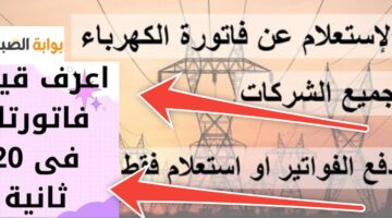 الاستعلام عن فاتورة الكهرباء والمياه