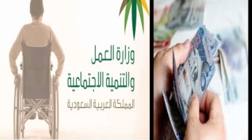 التأهيل الشامل 1445