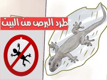 كيفية القضاء علي البرص بدون لمس في 10 دقائق