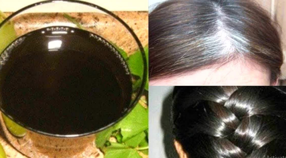 طرق التخلص من الشيب بطرق طبيعية.. وما هو الزيت الذي يمنع ظهوره؟ 5 طرق التخلص من الشيب بطرق طبيعية.. وما هو الزيت الذي يمنع ظهوره؟