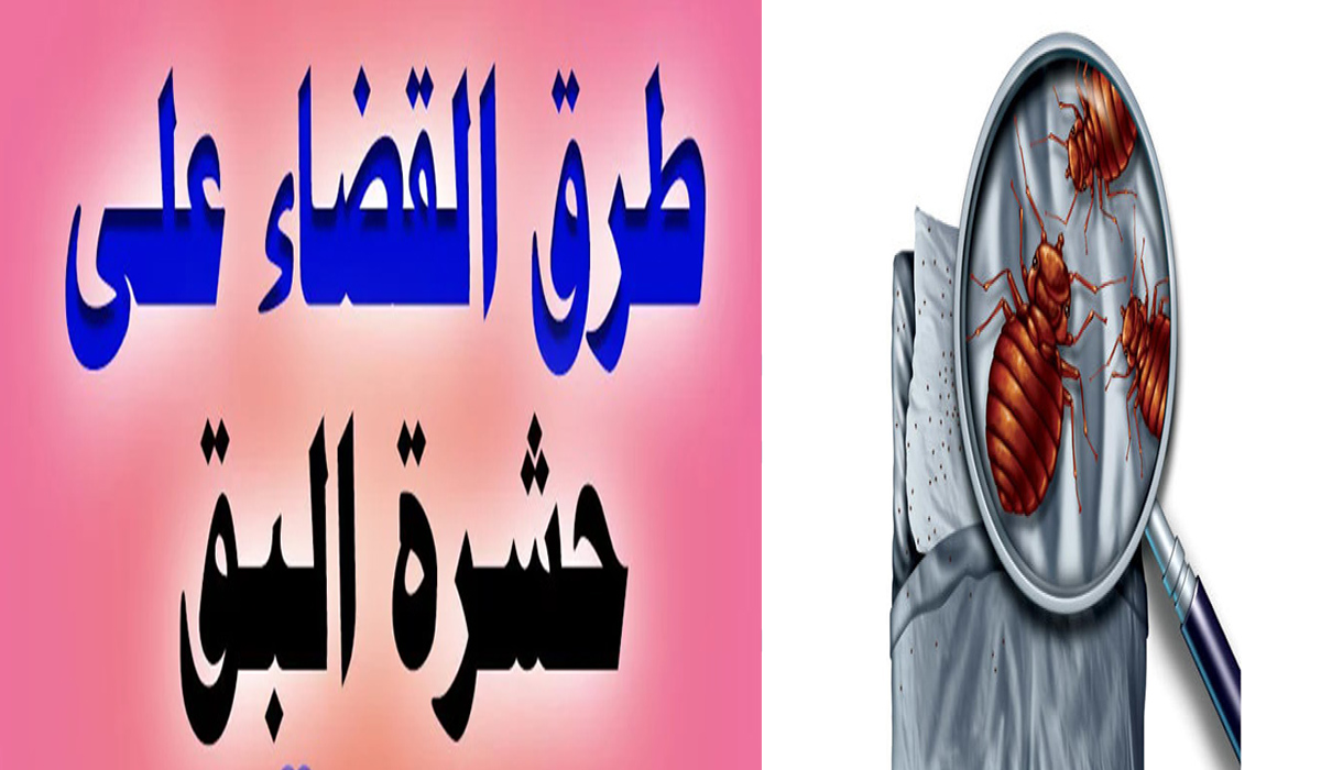 وصفة سريعة تخلصك من حشرات البق بدون كيماويات ولا رائحة نفاذة 2 وصفة سريعة تخلصك من حشرات البق بدون كيماويات ولا رائحة نفاذة