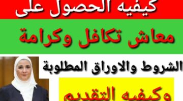 التقديم علي معاش تكافل وكرامة والاوراق المطلوبة للتسجيل الالكتروني e1606159393426 1
