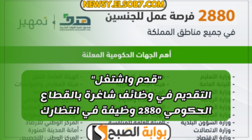 التقديم في وظائف شاغرة بالقطاع الحكومي