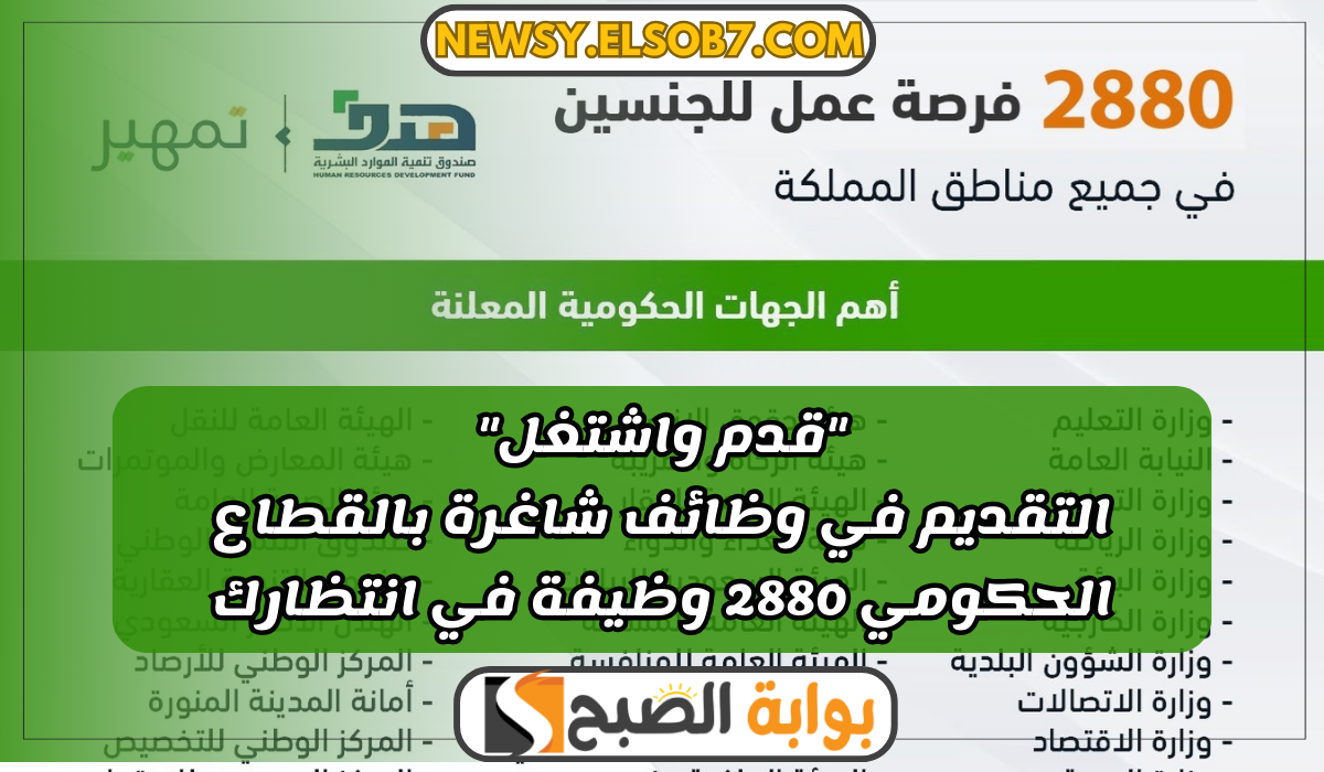 "قدم واشتغل" رابط التقديم في وظائف شاغرة بالقطاع الحكومي 2880 وظيفة في انتظارك 10 “قدم واشتغل” رابط التقديم في وظائف شاغرة بالقطاع الحكومي 2880 وظيفة في انتظارك