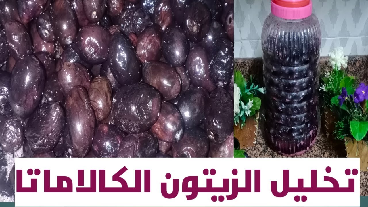 بطريقة المصانع.. طريقة تخليل الزيتون الأسود الكلاماتا 5 بطريقة المصانع.. طريقة تخليل الزيتون الأسود الكلاماتا