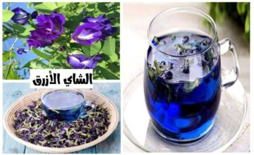 99% من الناس يجهلونه.. فوائد الشاي الأزرق ستقلب حياتك 360 درجة.. شاهد ماذا يحدث عند تناوله؟!