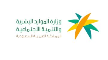 الضمان 3