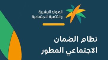 الضمان الاجتماعي 2