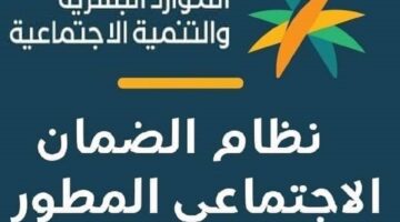 الضمان الاجتماعي 3