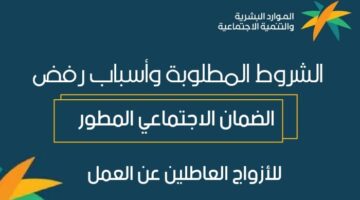 الضمان الاجتماعي المطور